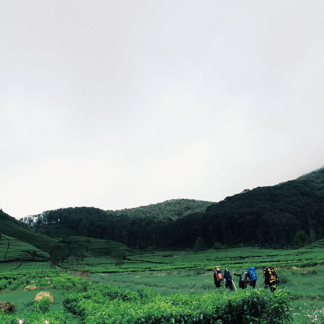 Placeholder image of a scenic landscape